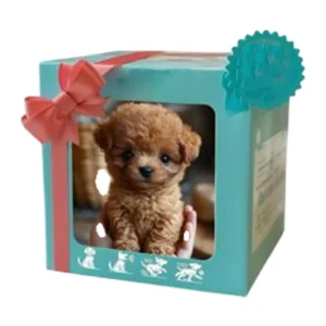 Electronic Robot Dog